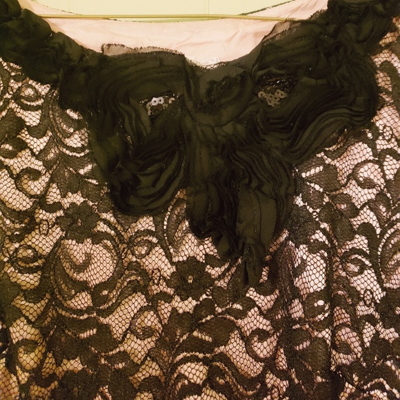 LBD Lace and Blush Dress - Picture 3 of 4